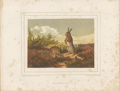 Das Elisium (bis Carneval 1853) als teleskopisches Pracht-Bild des Himmels und der Erde, mit einer großen astronomischen satyrischen Heerschau über sämmtliche Himmelszeichen, Planeten und Sternbilder Das Elisium (bis Carneval 1853) als teleskopisches Pracht-Bild des Himmels und der Erde, mit einer großen astronomischen satyrischen Heerschau über sämmtliche Himmelszeichen, Planeten und Sternbilder