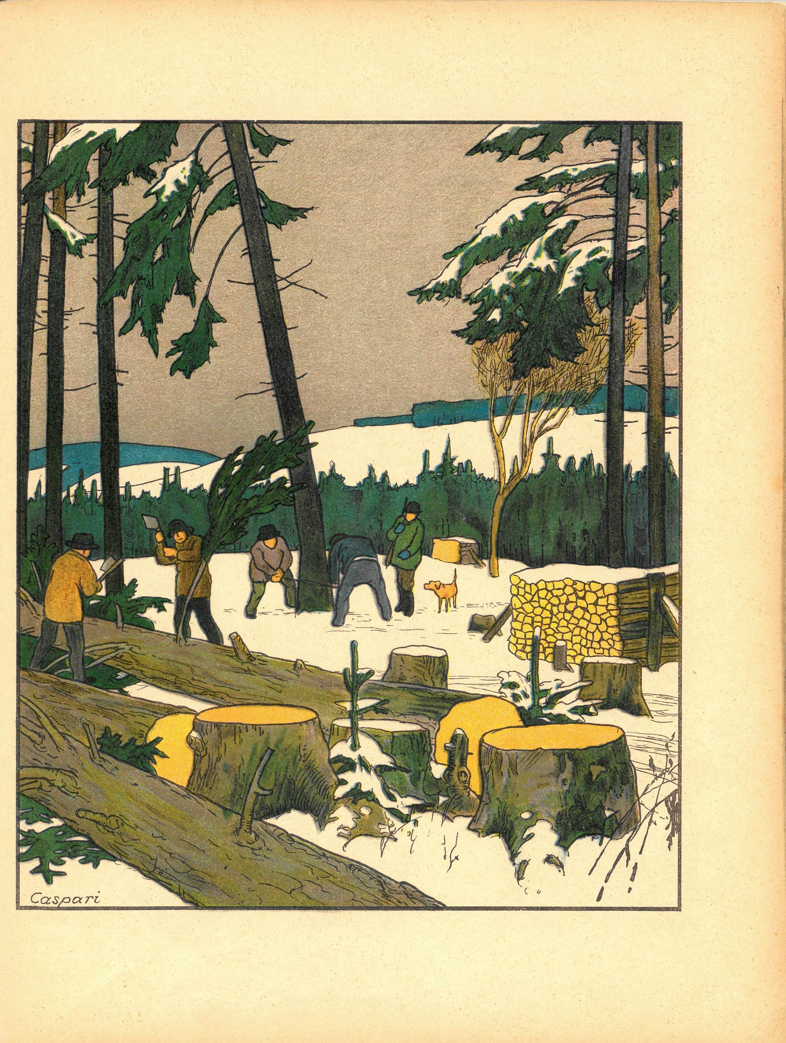Abbildung aus Wald und Heide von Walther Caspari Abbildung aus Wald und Heide von Walther Caspari