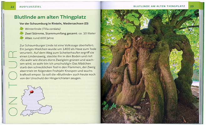 Ein aufgeschlagenes Buch zeigt die Seite 22 Ausflugsziel und 23 Blutlinde am alten Thingplatz. Ein aufgeschlagenes Buch zeigt die Seite 22 Ausflugsziel und 23 Blutlinde am alten Thingplatz.